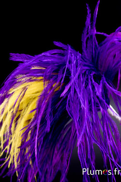 Plumet autruche avec anneau - ht 22-28 cm - aubergine-jaune